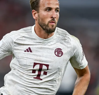 毛球赛场上 毛球赛场上