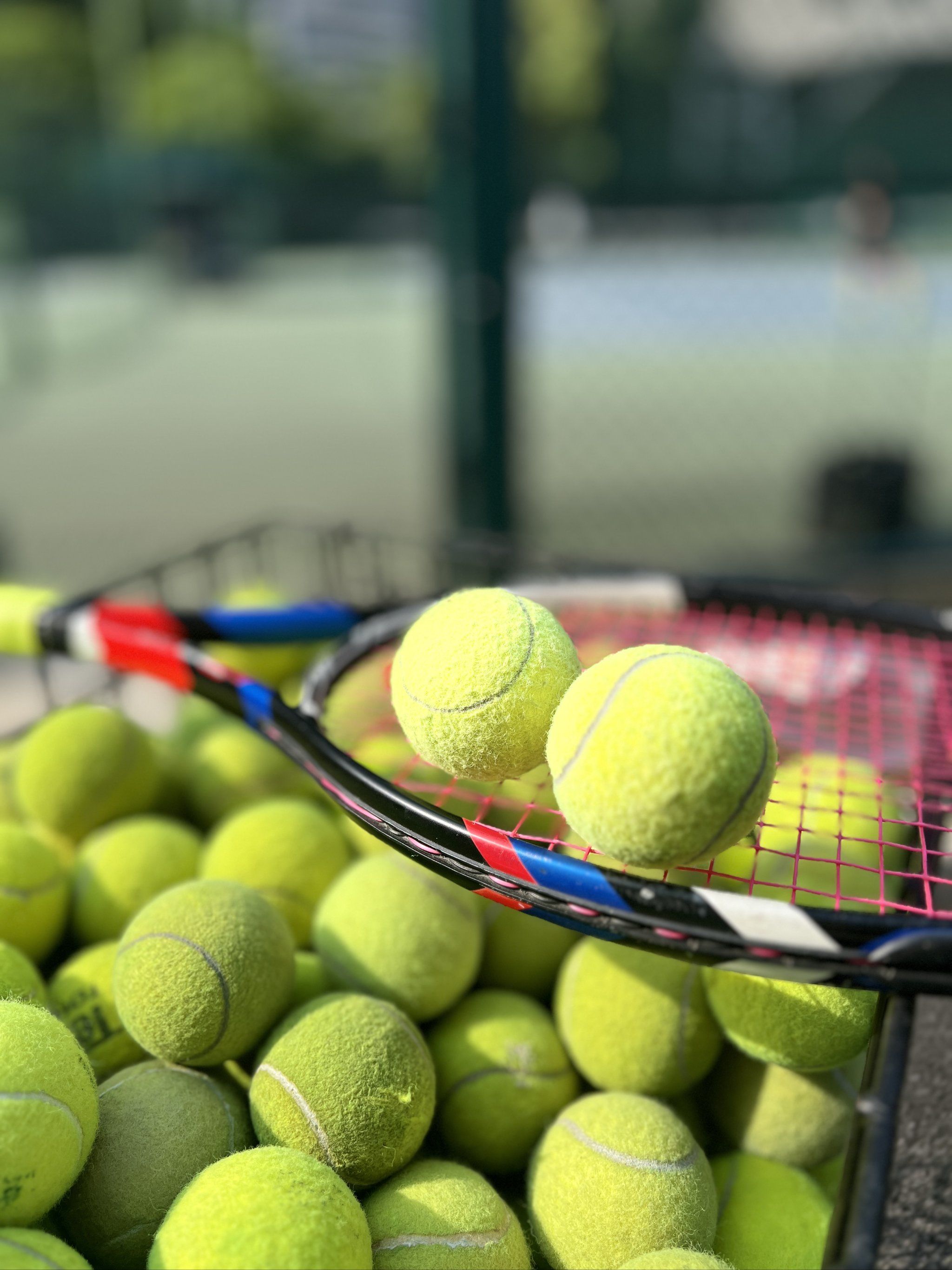 赛事中拥有 赛事中拥有