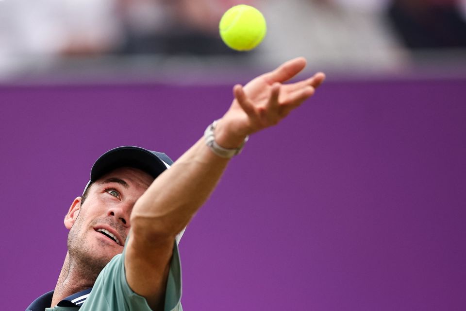 成阵容的大 成阵容的大